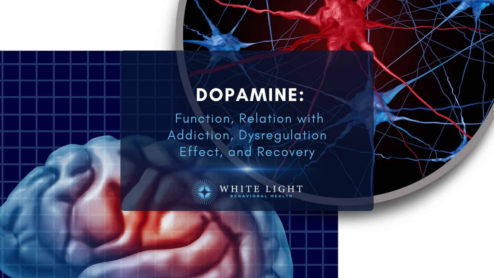 Dopamine Addiction